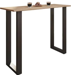 Holz Bartisch Stehtisch Xona 140x50