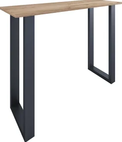 Holz Bartisch Stehtisch Xona 140x50