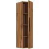 Holz Wandregal Klappschrank Arila XL