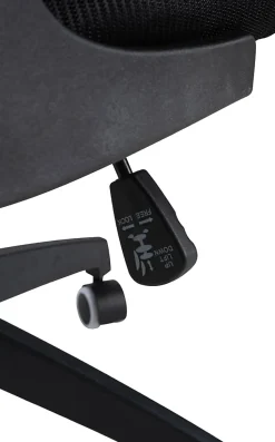 Hudson chaise de bureau ergonomique, soutien lombaire, pivotante, piétement, accoudoirs, capacité de charge 120 kg Noir