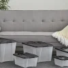Iris Ohyama, Boites de Rangement Plastique avec Couvercle, 60L, Lot de 4, Noir, NTB-60