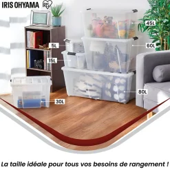 Iris Ohyama, Grande Boite de Rangement Plastique avec Couvercle, 80L, Lot de 4, Transparent, TB-84D