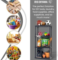 Iris Ohyama, Lot de 2 Etagères Plastique de Rangement, Capacité de 100 kg, 4 étages, Noir, PRS-M4
