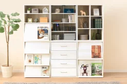 Iris Ohyama, Meuble, Bibliothèque, étagère de rangement avec 2 portes, CHR-2, Chêne Blanc, L40.9 x P59 x H83.6 cm