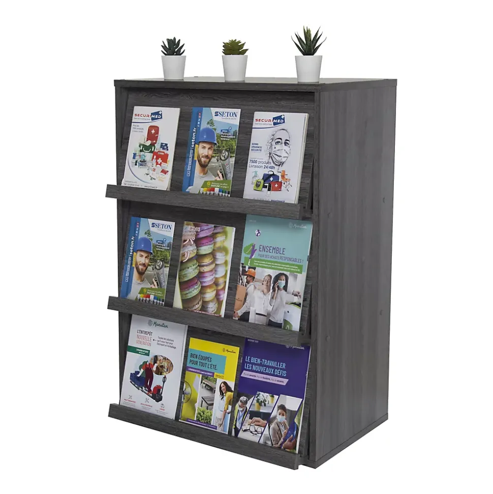 Iris Ohyama, Meuble, Bibliothèque, étagère de rangement avec 3 portes, CHR-3, Chêne Gris, L40.9 x P59 x H83.6 cm