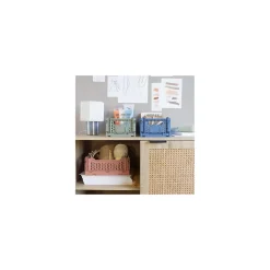 Lot 4 caisses de rangement pliables bleu et vert 27 x 17 x 10,5 cm