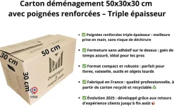 lot de 40 cartons 50x30x30 cm poignees renforcees double epaisseur 1 rouleau adhesif 68 m