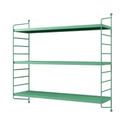 Lot de 2 étagères murales Strängnäs acier 50 x 60 x 15 cm vert pastel mat en.casa