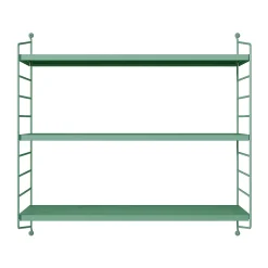 Lot de 2 étagères murales Strängnäs acier 50 x 60 x 15 cm vert pastel mat en.casa