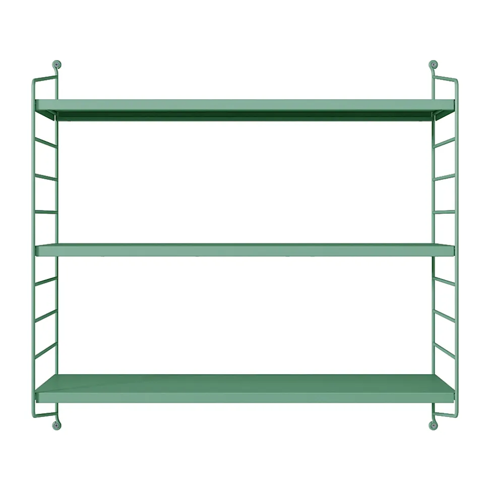 Lot de 2 étagères murales Strängnäs acier 50 x 60 x 15 cm vert pastel mat en.casa