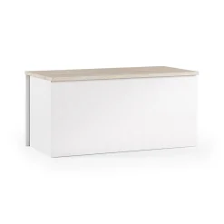 Malle Ayusnay, Grande boîte de rangement polyvalente, Coffre moderne, 100% Made in Italy, 90x45h45 cm, Blanc et Chêne