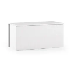 Malle Ayusnay, Grande boîte de rangement polyvalente, Coffre moderne, 100% Made in Italy, 90x45h45 cm, Blanc