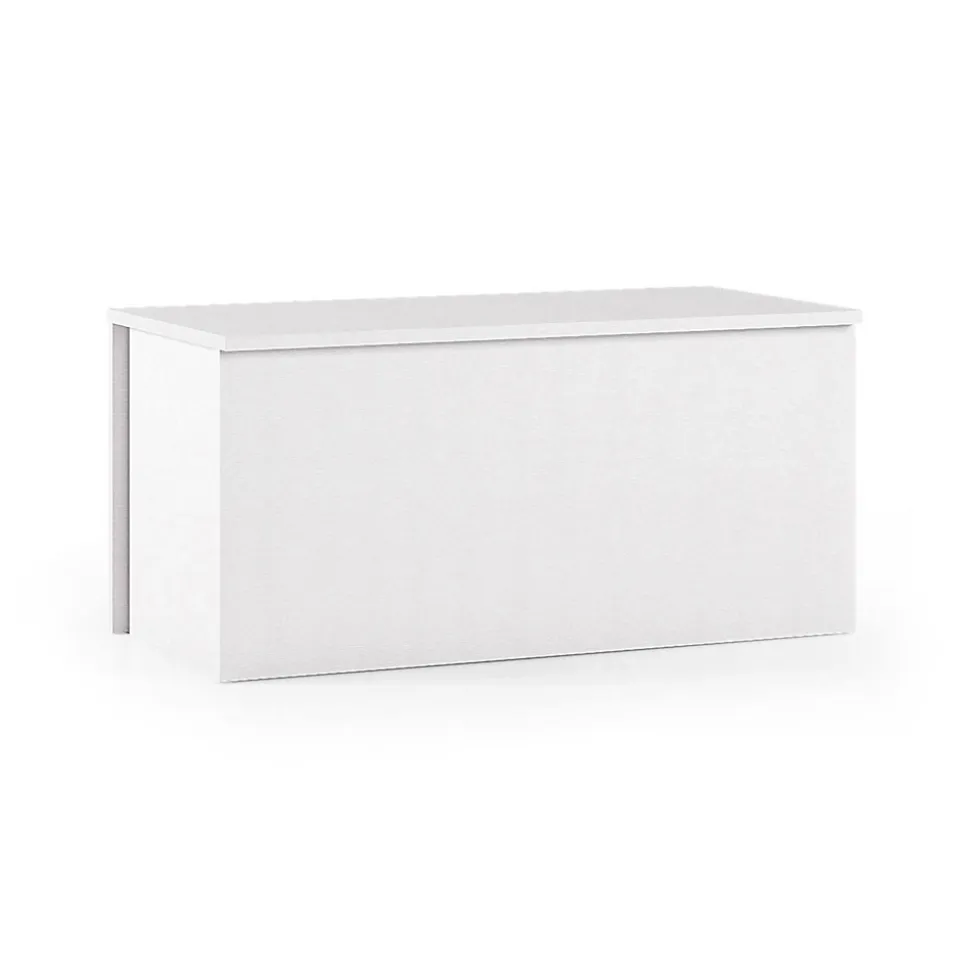 Malle Ayusnay, Grande boîte de rangement polyvalente, Coffre moderne, 100% Made in Italy, 90x45h45 cm, Blanc