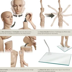 Mannequin de vitrine en Plastique Démontable