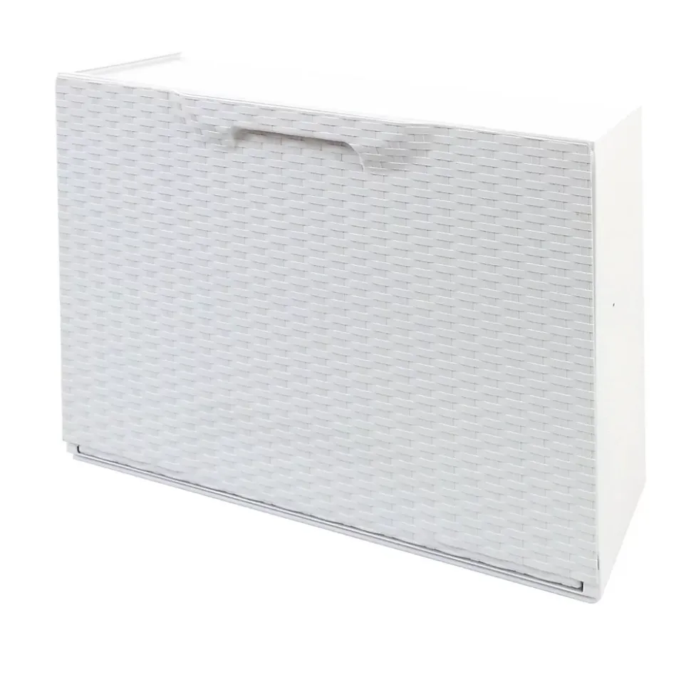 Meuble chaussures Darmitan, Meuble chaussures peu encombrante, Meuble à chaussures 1 porte, 51x17h40 cm, Blanc
