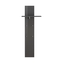 Meuble d'entrée Dlentin, entrée multifonction moderne, casier polyvalent pour hall d'entrée, 50x27h140 cm, anthracite brillant
