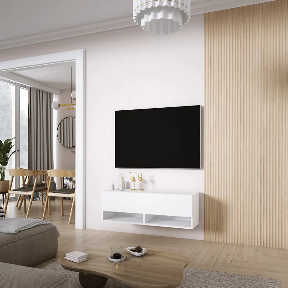 Meuble TV 100 cm Blanc Mat, 100 x 32 x 34 cm
