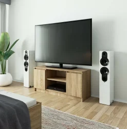 Meuble TV pour salon AKORD Chêne Sonoma 120 cm 2 portes façade Chêne Sonoma 2 étagères 120x40x55 cm