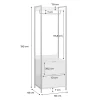 Module dressing noir avec 1 penderie. 2 tiroirs et 1 étagère. L 60 x P 48 x H 190 cm