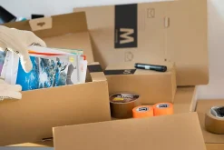 Pack and Move - Lot 24 colis pour expédition - Taille M - 21 x 32 x 15 cm - Carton renforcé - 20 KG max