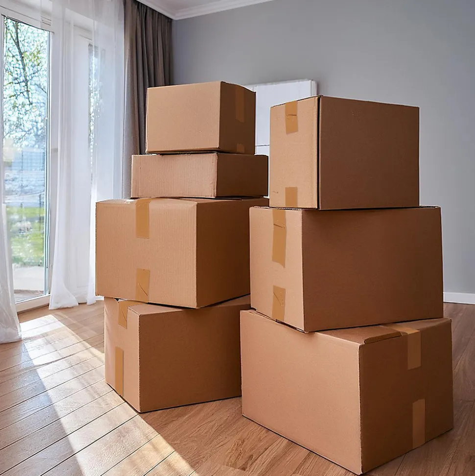 Pack and Move - Lot 6 rouleaux ruban adhésif marron pour emballage et déménagement - 66 m - Qualité Premium
