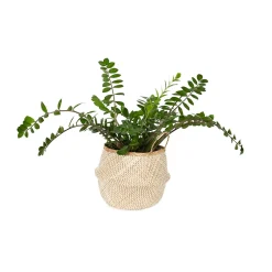 Panier Belly naturel et blanc taille L