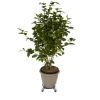 Plateau de manutention rond 30 kg Diall