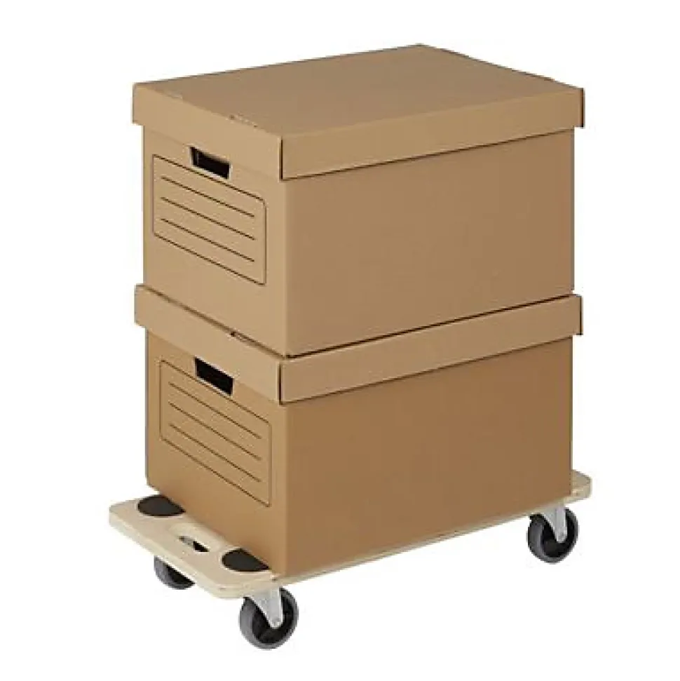 Plateau roulant rectangulaire Diall TR01 peuplier charge max 200 kg
