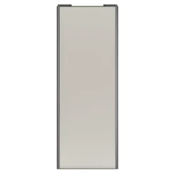 Porte de placard coulissante gris clair mat profil gris GoodHome Arius H. 248,5 x L. 92.2 cm + amortisseurs