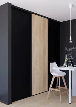 Porte de placard coulissante noir mat profil noir GoodHome Arius H. 248,5 x L. 77.2 cm + amortisseurs