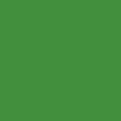 Ruban adhésif toilé Tesa Extra Power 56343-00039-03 vert 38 mm x 2,75 m
