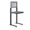 Support informatique sur patins - Ecran 22 pouces - Gris clair - W040010009-GC