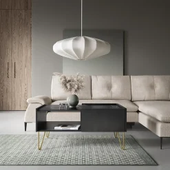 Table Basse : 2 Tiroirs, 1 Étagère, Noir Graphite / Marbre Noir, 97 X 45 X 65 Cm