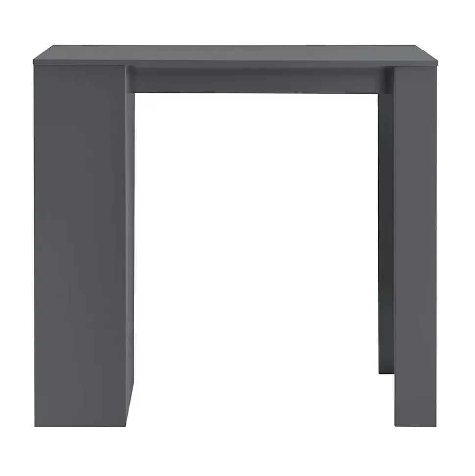 Table de Bar Kouvola 110 x 50 x 103 cm Gris foncé en.casa