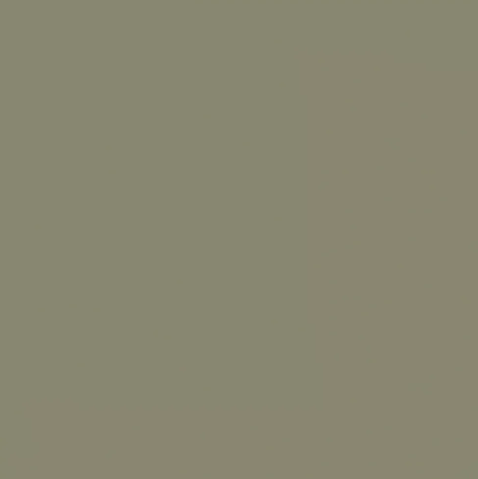 Tablette murale GoodHome Rigga vert L 80 cm