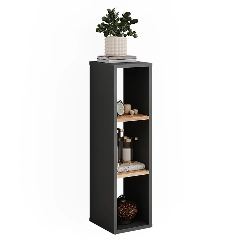 Vicco Armoire à chaussures Anthracite/chêne doré 21.6x80.1cm