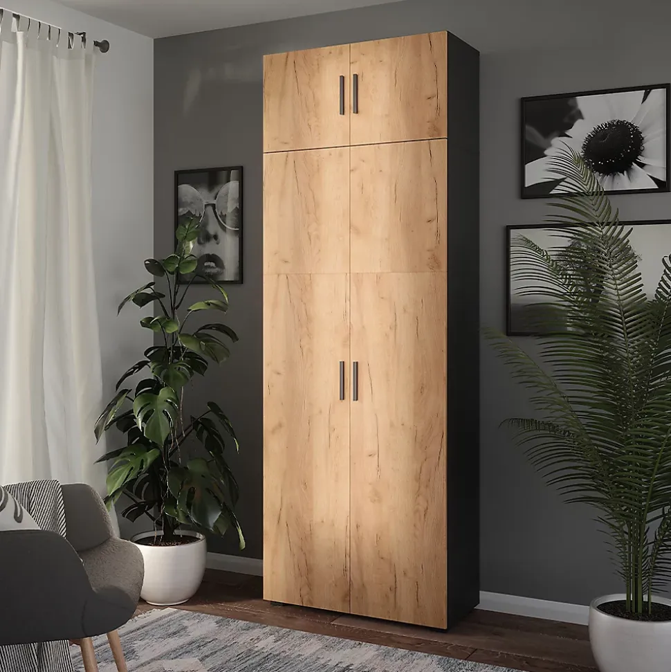 Vicco Armoire universelle Anthracite/chêne doré 80x223.8cm avec fixation darmoire