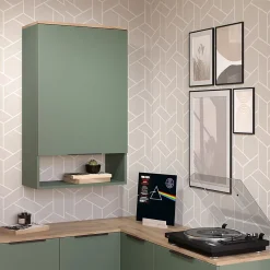 Vicco Etagère Vert 60x100cm avec porte