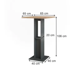 Vicco Table de bar Chêne doré/anthracite 65x65cm
