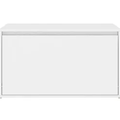 vidaXL Banc d'Entrée, Siège de Rangement, Meuble à Chaussures avec Assise, Organisateur de Salon Salle de Séjour Intérieur, 808666