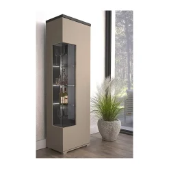 Vitrine 1 porte collection NESS Finition Congo & Anthracite 10 niches de rangement Sans LED