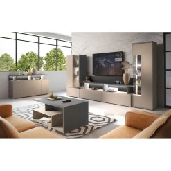 Vitrine 1 porte collection NESS Finition Congo & Anthracite 10 niches de rangement Sans LED