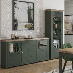 Vitrine 1 porte ouverture droite Martin Vert et Bois