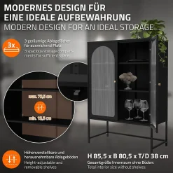 Vitrine de Salon 85x120x40 cm, Noir, Armoire avec 3 Compartiments de Rangement/Étagères et 2 Portes