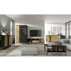 Vitrine design IZO 2 portes Noir onyx & Chene clair 110x195x40 cm