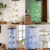 Vitrine d'exposition en verre 4 niveaux avec bande LED, Porte simple, Vitrine d'angle, Noir