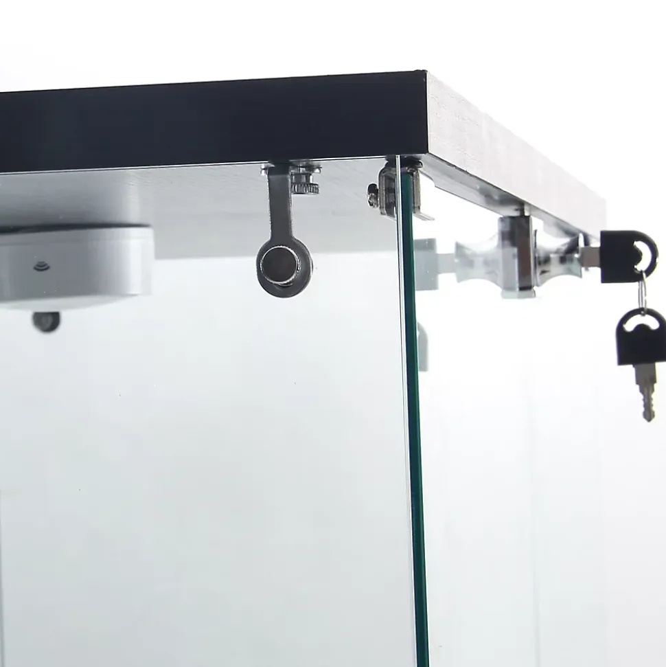 Vitrine en verre avec 4 étagères, vitrine à 2 portes avec lumière et serrure, noir
