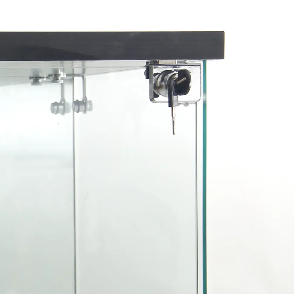 Vitrine en verre, LED, miroir arrière, 4 couches, 1 porte, 42x36x164cm, salon, chambre à coucher, bureau, Noir