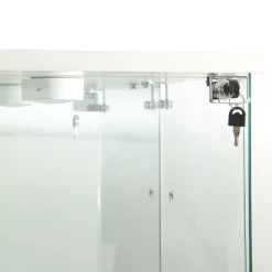 Vitrine en verre, LED, miroir arrière, 4 couches, 1 porte, 42x36x164cm, salon, chambre à coucher, bureau, Blanc