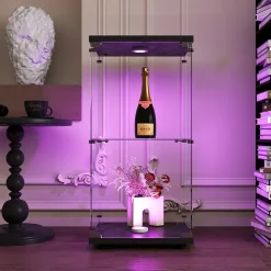 Vitrine en verre trempé à 2 niveaux avec porte, structure en métal noir et éclairage LED intégré, Design moderne et élégant